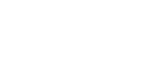 Washington National logo